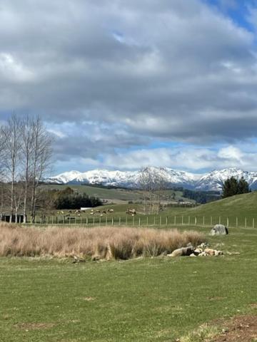 Boutique Tiny House - Te Anau Country Accommodation Zewnętrze zdjęcie